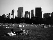 central park